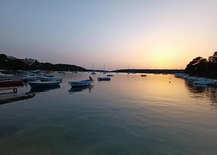 Sunset View Apartment Vinkuran