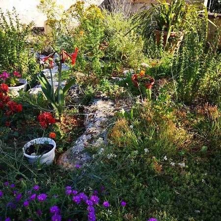 דירה Sunset View וינקורן